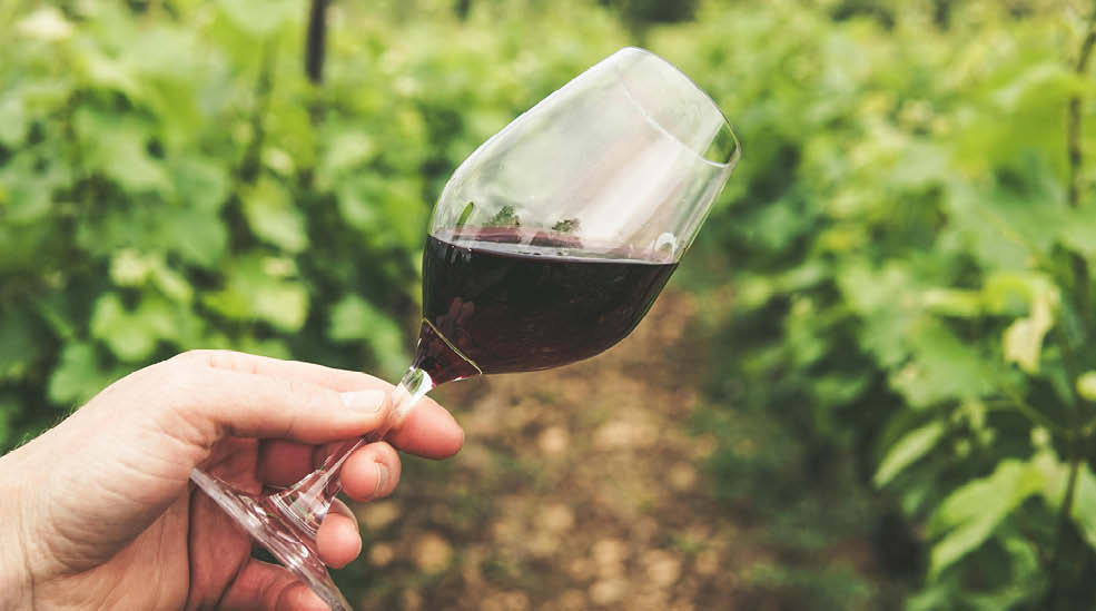 Winery experience with a 7-course dinner, wine package & overnight stay
