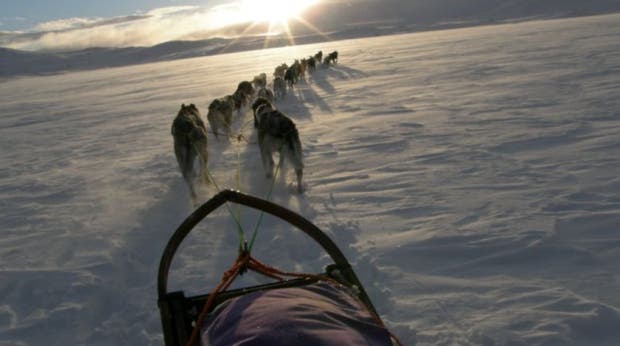 There is optimal conditions for trying dog sledding during the winter at Quality Voringfoss Hotel in Eidfjord