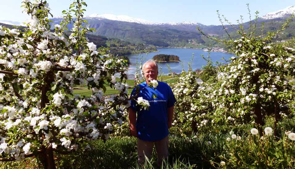 Hardangervidda National Park is known for its beauty at Quality Voringfoss Hotel in Eidfjord